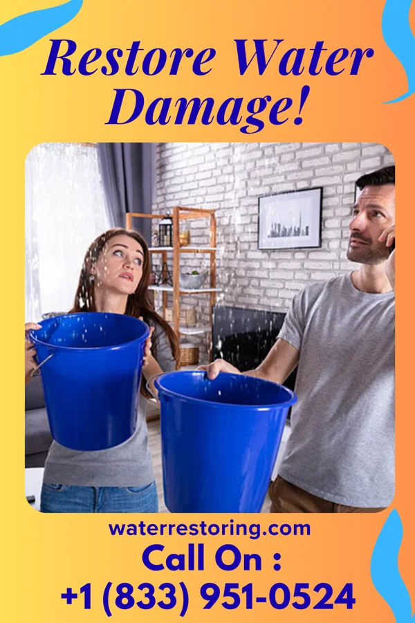 water restoration Stellar Restoration Authority Lamar