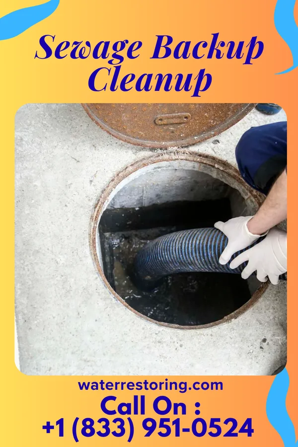 Sewage Backup Cleanup in Lamar, CO